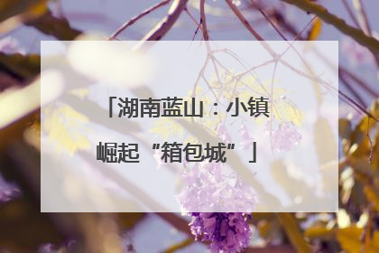 湖南蓝山：小镇崛起“箱包城”