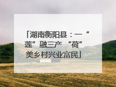 湖南衡阳县：一“莲”融三产 “荷”美乡村兴业富民