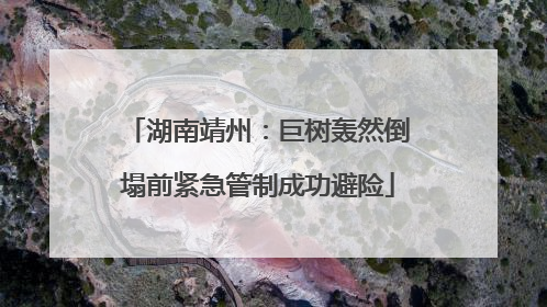 湖南靖州：巨树轰然倒塌前紧急管制成功避险