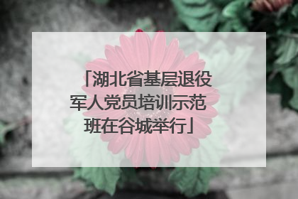 湖北省基层退役军人党员培训示范班在谷城举行