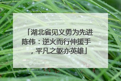 湖北省见义勇为先进陈伟：逆火而行伸援手，平凡之躯亦英雄