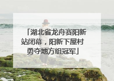 湖北省龙舟赛阳新站闭幕，阳新下屋村勇夺地方组冠军
