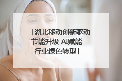 湖北移动创新驱动节能升级 AI赋能行业绿色转型