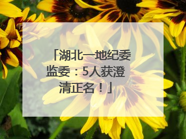 湖北一地纪委监委：5人获澄清正名！