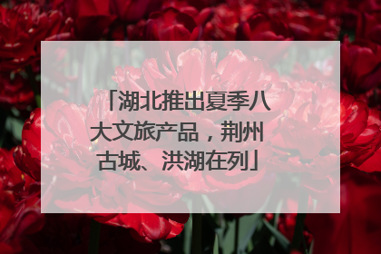 湖北推出夏季八大文旅产品，荆州古城、洪湖在列