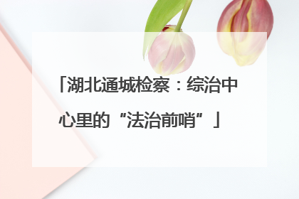 湖北通城检察：综治中心里的“法治前哨”