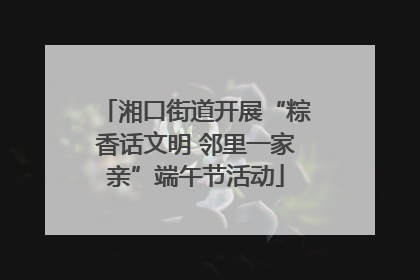 湘口街道开展“粽香话文明 邻里一家亲”端午节活动