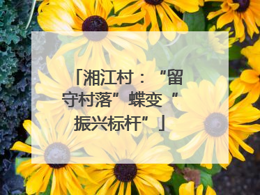 湘江村：“留守村落”蝶变“振兴标杆”