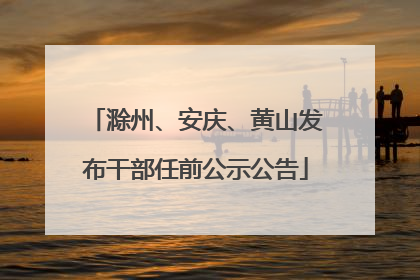 滁州、安庆、黄山发布干部任前公示公告