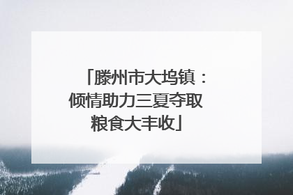 滕州市大坞镇：倾情助力三夏夺取粮食大丰收