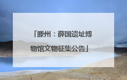 滕州：薛国遗址博物馆文物征集公告