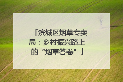 滨城区烟草专卖局：乡村振兴路上的“烟草答卷”