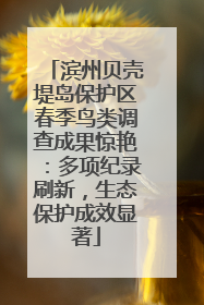 滨州贝壳堤岛保护区春季鸟类调查成果惊艳：多项纪录刷新，生态保护成效显著