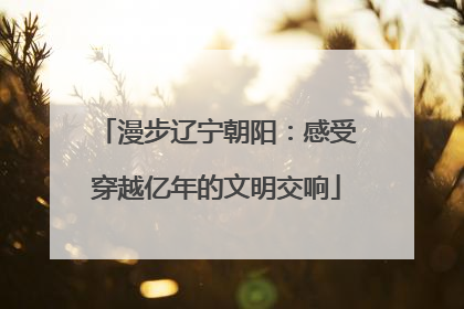 漫步辽宁朝阳：感受穿越亿年的文明交响
