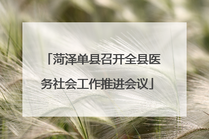 菏泽单县召开全县医务社会工作推进会议