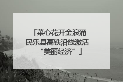 菜心花开金浪涌 民乐县高铁沿线激活“美丽经济”