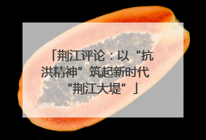 荆江评论：以“抗洪精神”筑起新时代“荆江大堤”