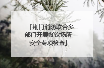 荆门消防联合多部门开展餐饮场所安全专项检查