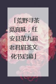 荒野寻茶觅真味，红安县第九届老君眉茶文化节启幕