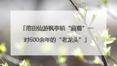 莆田仙游枫亭镇“藏着”一对600余年的“老龙头”