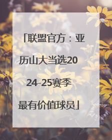 联盟官方：亚历山大当选2024-25赛季最有价值球员