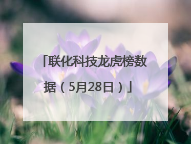 联化科技龙虎榜数据（5月28日）
