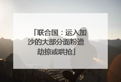 联合国：运入加沙的大部分面粉遭劫掠或哄抢