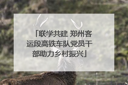 联学共建 郑州客运段高铁车队党员干部助力乡村振兴