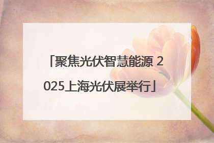 聚焦光伏智慧能源 2025上海光伏展举行