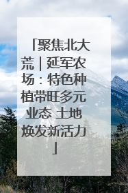 聚焦北大荒｜延军农场：特色种植带旺多元业态 土地焕发新活力