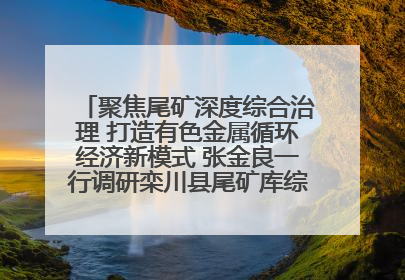 聚焦尾矿深度综合治理 打造有色金属循环经济新模式 张金良一行调研栾川县尾矿库综合治理工作