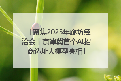 聚焦2025年廊坊经洽会丨京津冀首个AI招商选址大模型亮相