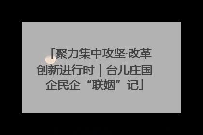 聚力集中攻坚·改革创新进行时｜台儿庄国企民企“联姻”记
