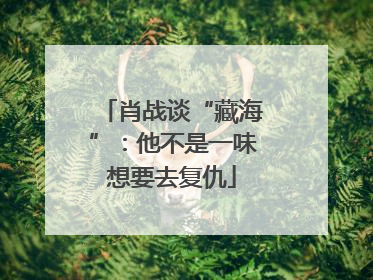 肖战谈“藏海”：他不是一味想要去复仇