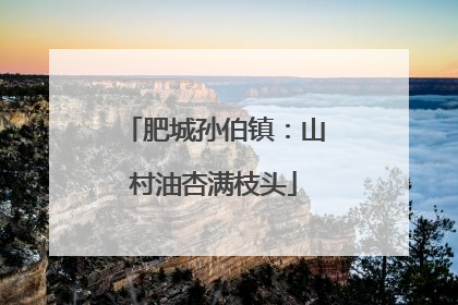 肥城孙伯镇：山村油杏满枝头