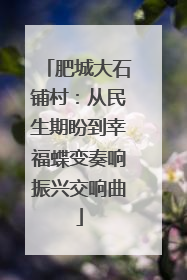 肥城大石铺村：从民生期盼到幸福蝶变奏响振兴交响曲