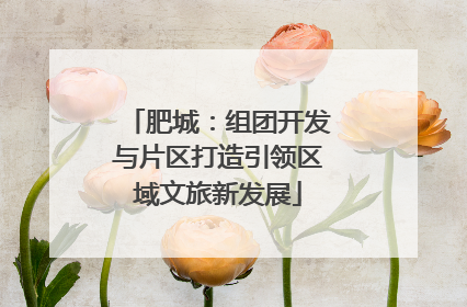 肥城：组团开发与片区打造引领区域文旅新发展