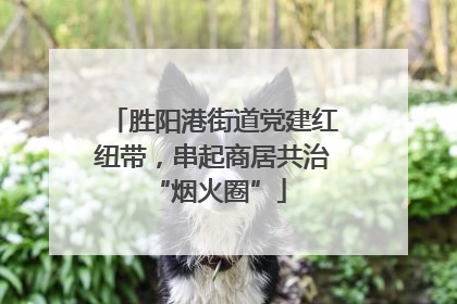 胜阳港街道党建红纽带，串起商居共治 “烟火圈”