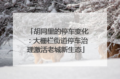 胡同里的停车变化：大栅栏街道停车治理激活老城新生态