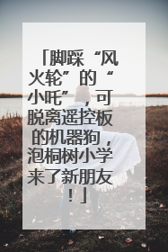 脚踩“风火轮”的“小吒”，可脱离遥控板的机器狗，泡桐树小学来了新朋友！