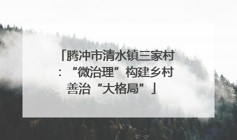 腾冲市清水镇三家村：“微治理”构建乡村善治“大格局”
