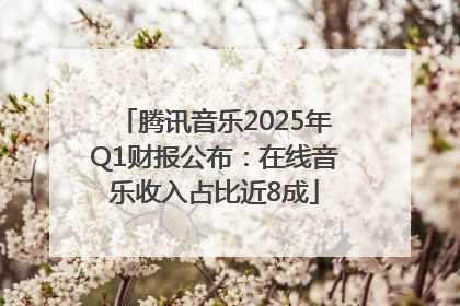 腾讯音乐2025年Q1财报公布：在线音乐收入占比近8成