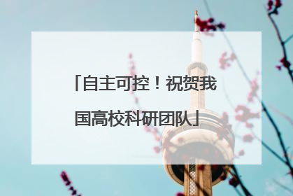 自主可控！祝贺我国高校科研团队
