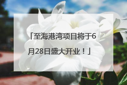 至海港湾项目将于6月28日盛大开业！