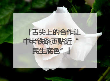 舌尖上的合作让中老铁路更贴近“民生底色”