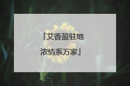 艾香盈驻地 浓情系万家
