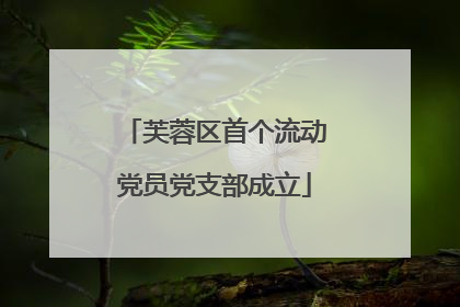 芙蓉区首个流动党员党支部成立
