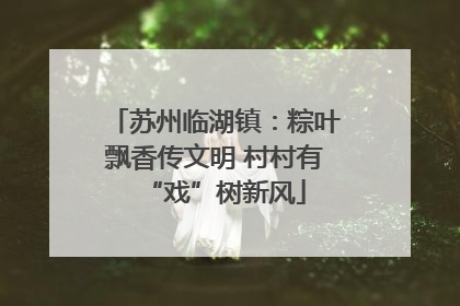 苏州临湖镇：粽叶飘香传文明 村村有“戏”树新风