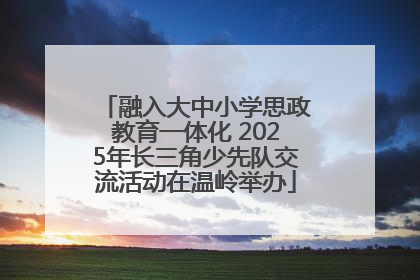 融入大中小学思政教育一体化 2025年长三角少先队交流活动在温岭举办