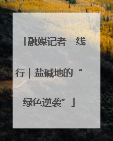融媒记者一线行｜盐碱地的“绿色逆袭”